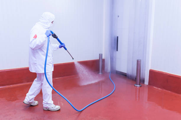 Pre-Holiday Cleaning in Salem, WV